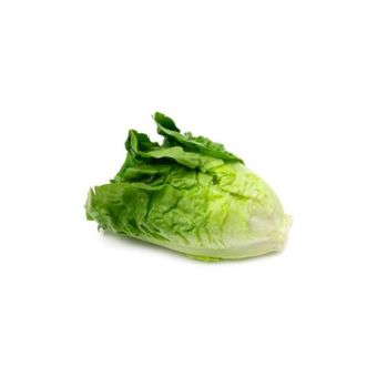Lettuce- (L.P.C) 1xBox03